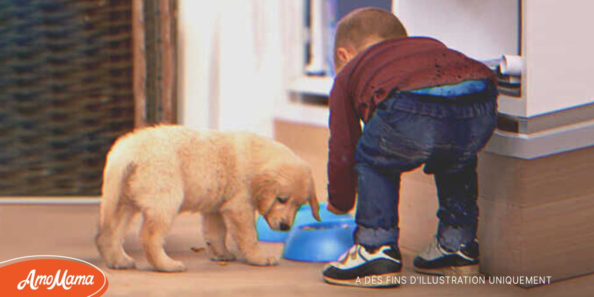 Ne mange pas la nourriture de mon chien dit une fille à un pauvre