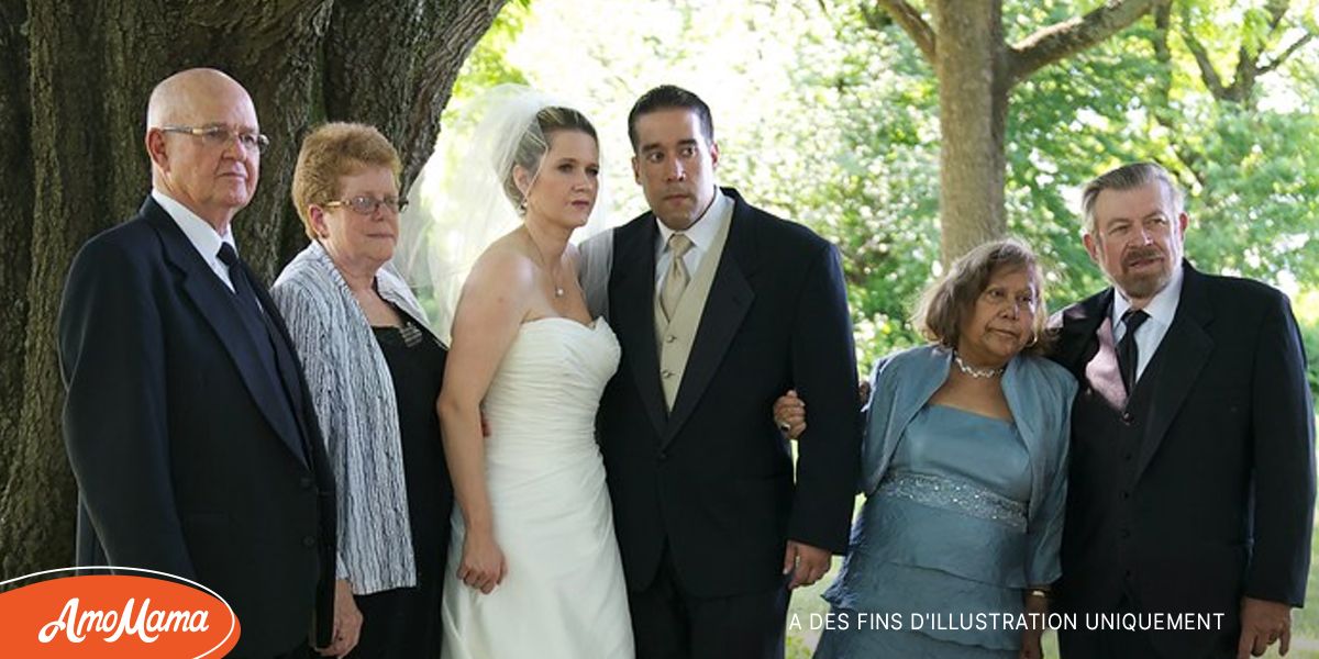 Lot De 30 Nœuds Noirs Pour Décoration De Gâteau, Anniversaire, Mariage, Fête Prénatale, Emballage Cadeau, Fournitures De Décoration D'arbre De Noël